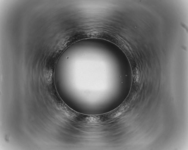 X0000094220660200710261231