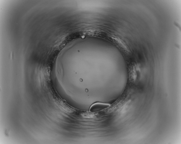 X0000094220661200710261231