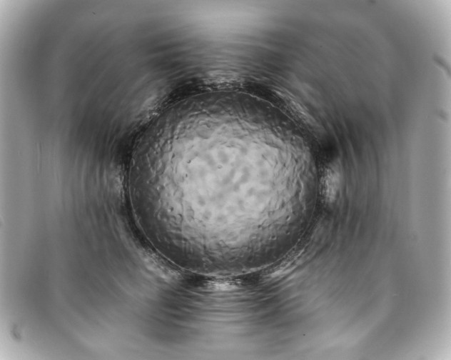 X0000094220662200710261231