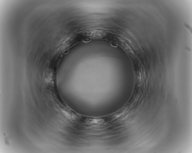 X0000094220663200710261231