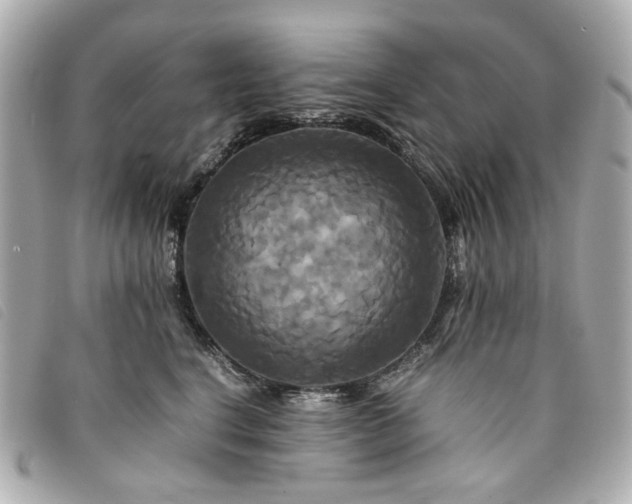 X0000094220664200710261231