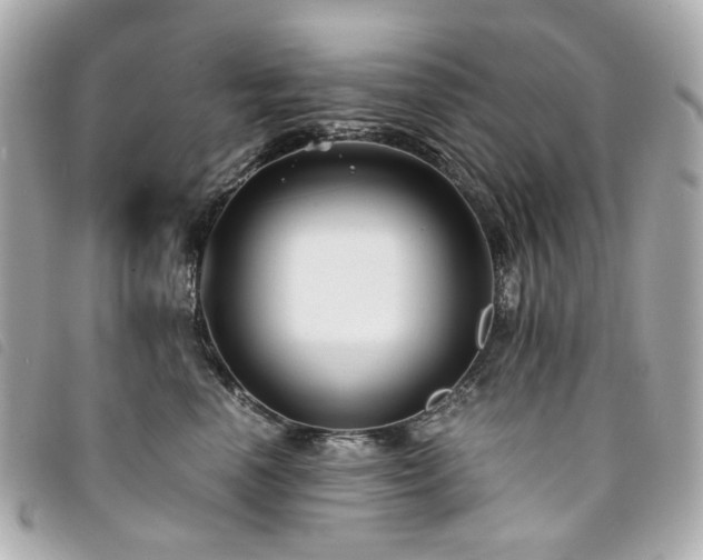 X0000094220666200710261231