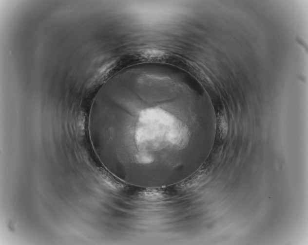 X0000094220668200710261231