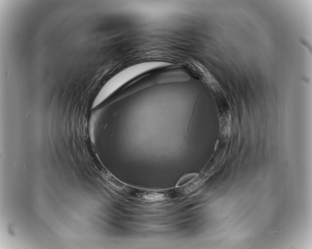 X0000094220669200710261231