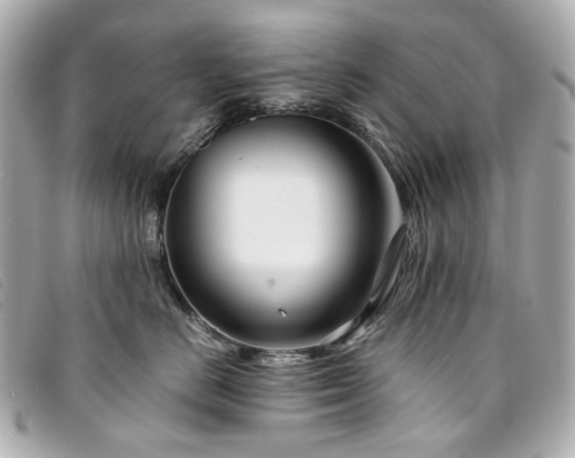 X0000094220670200710261231