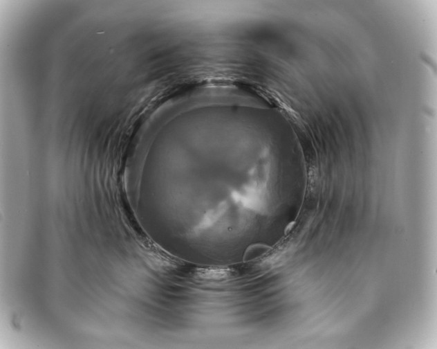 X0000094220671200710261231