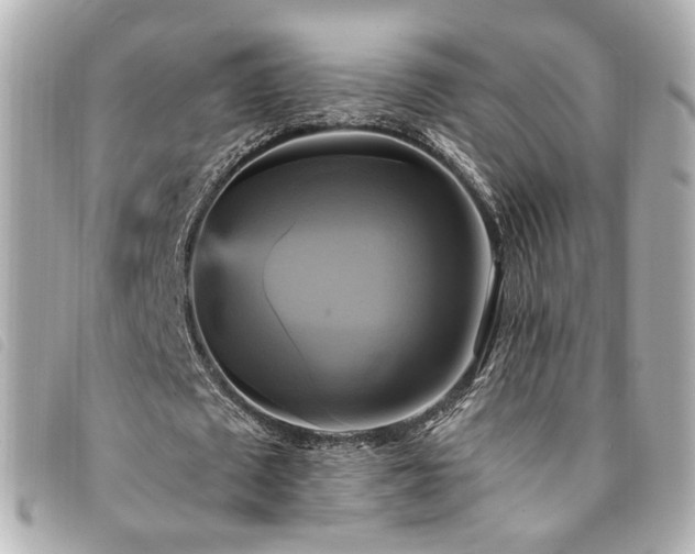 X0000094220673200710261230