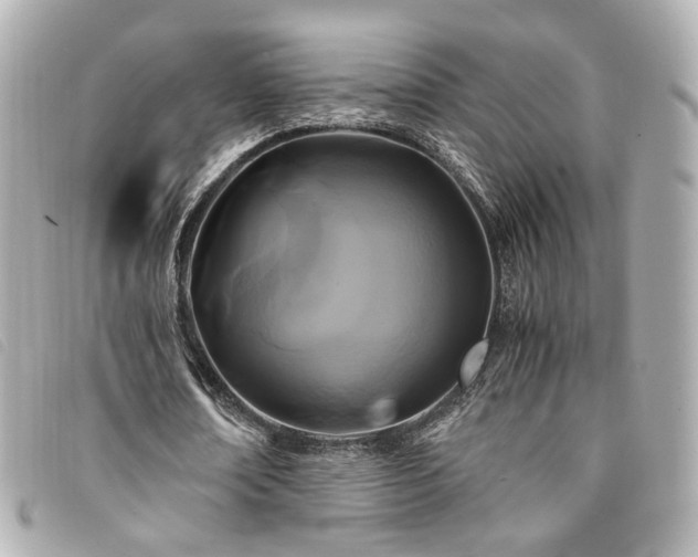 X0000094220674200710261230