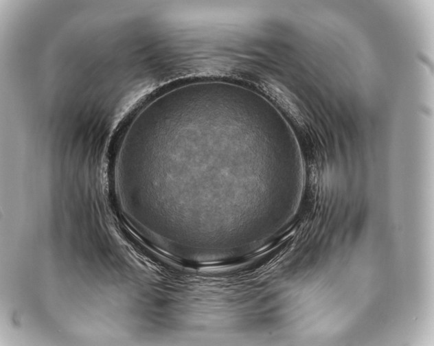 X0000094220676200710261230