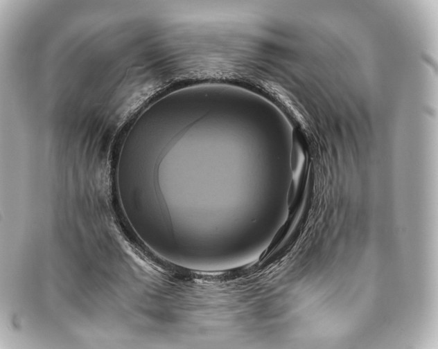 X0000094220677200710261230