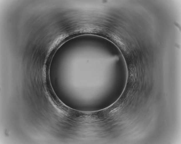 X0000094220678200710261230