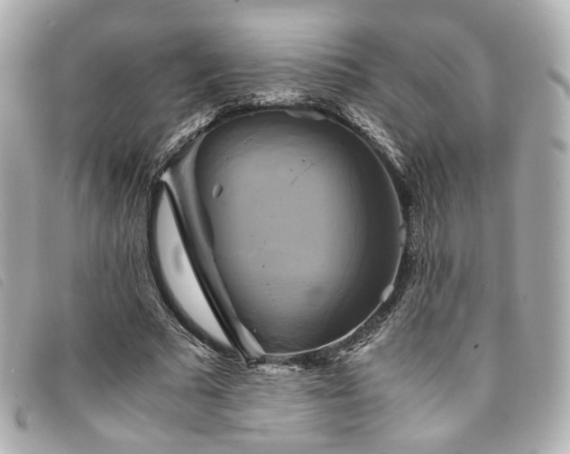 X0000094220681200710261230