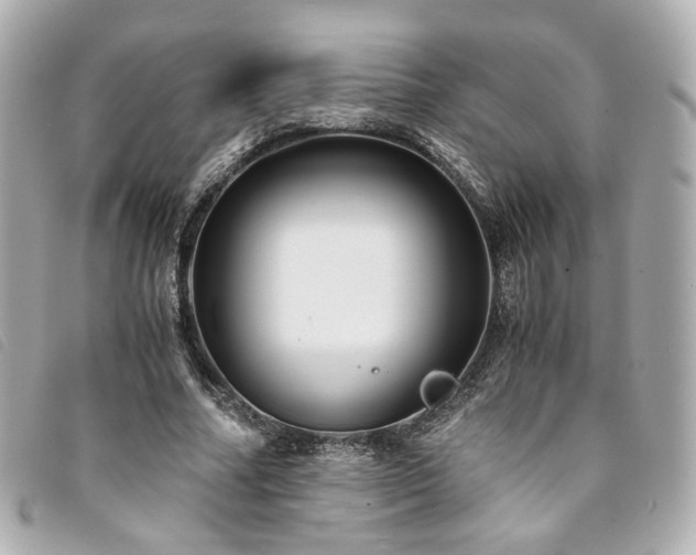 X0000094220682200710261230