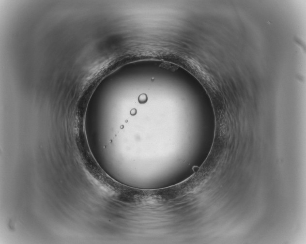 X0000094220683200710261230