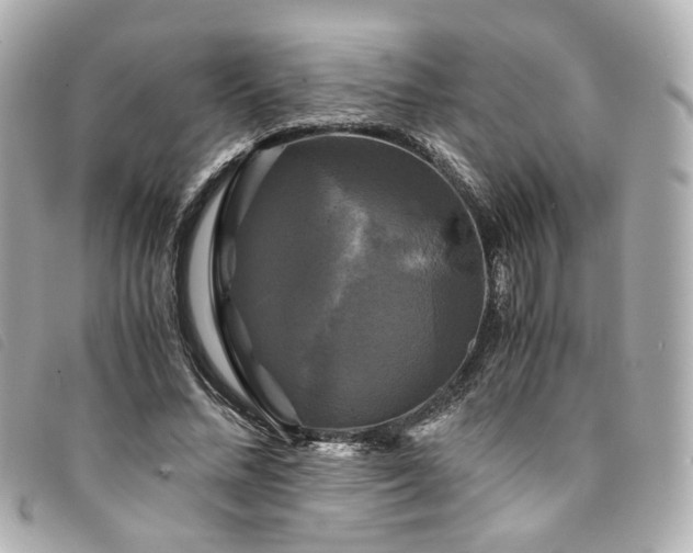 X0000094220684200710261230