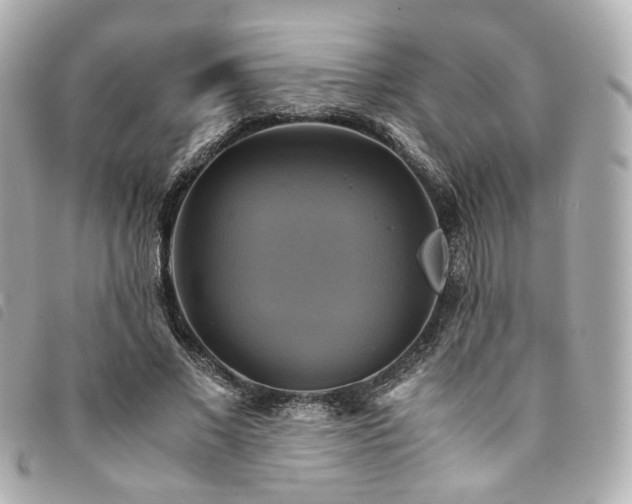 X0000094220685200710261230