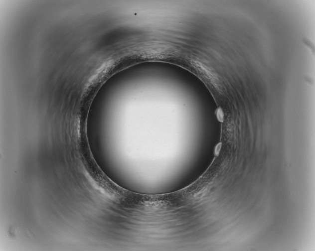 X0000094220686200710261230