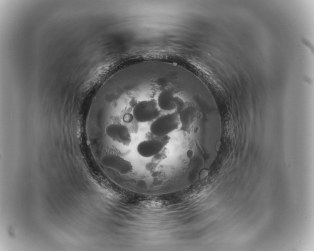 X0000094220687200710261230