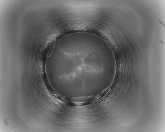 X0000094220688200710261230