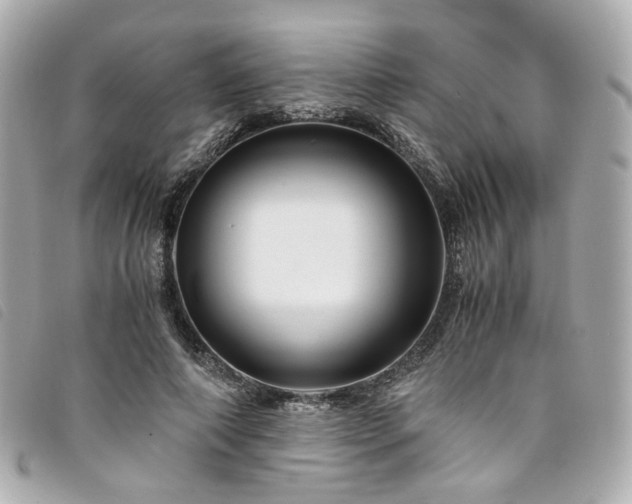 X0000094220690200710261230