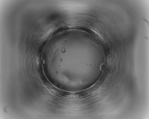 X0000094220691200710261230