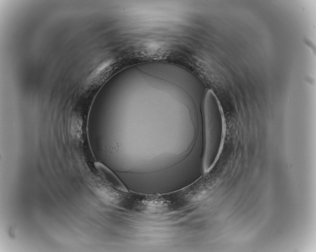 X0000094220693200710261230