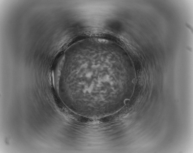 X0000094220695200710261230