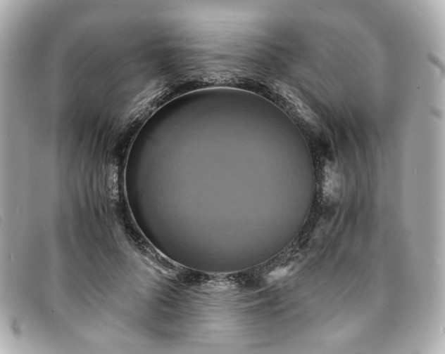 X0000094220696200710261230