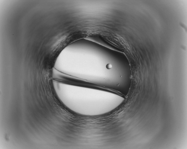 X0000094220697200710261230