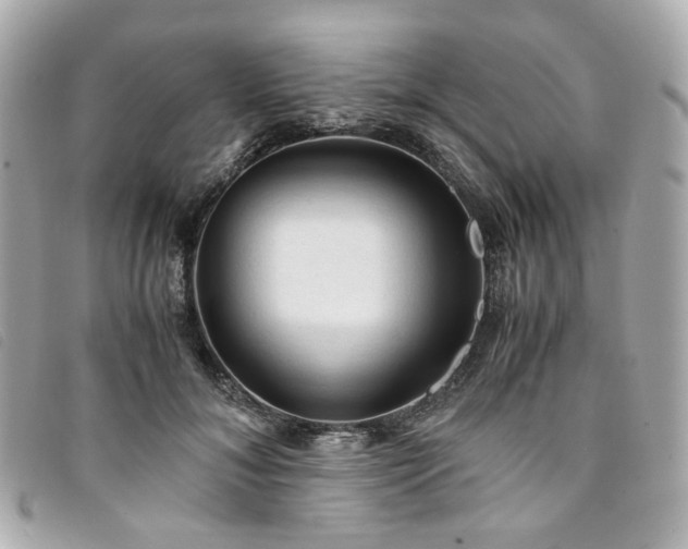 X0000094220700200710261230