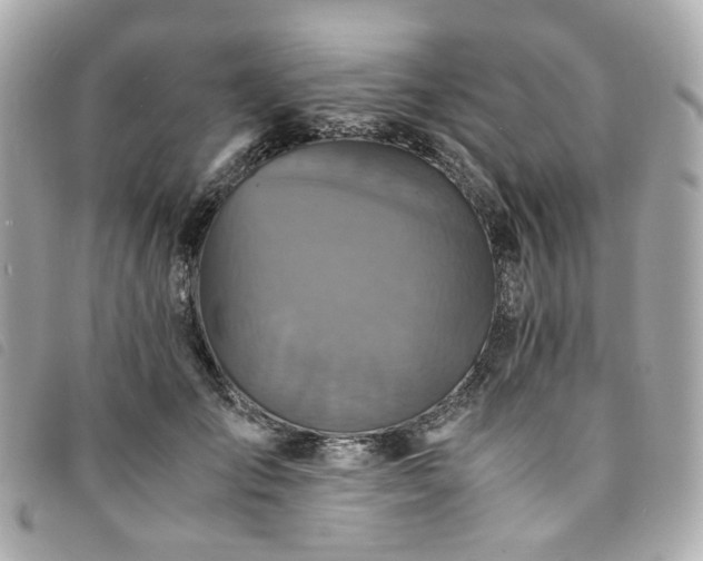 X0000094220701200710261230