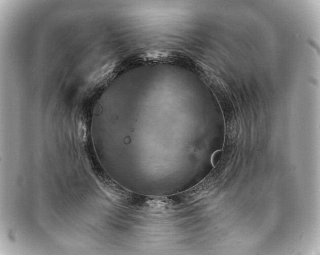 X0000094220703200710261230