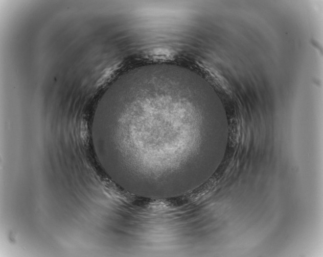 X0000094220704200710261230