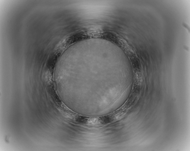 X0000094220705200710261230