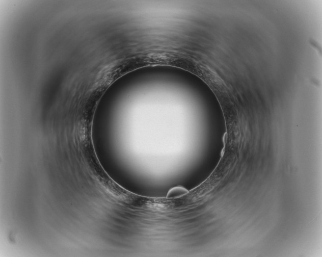 X0000094220706200710261230