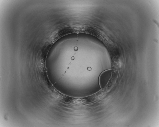 X0000094220707200710261230