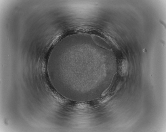 X0000094220708200710261230