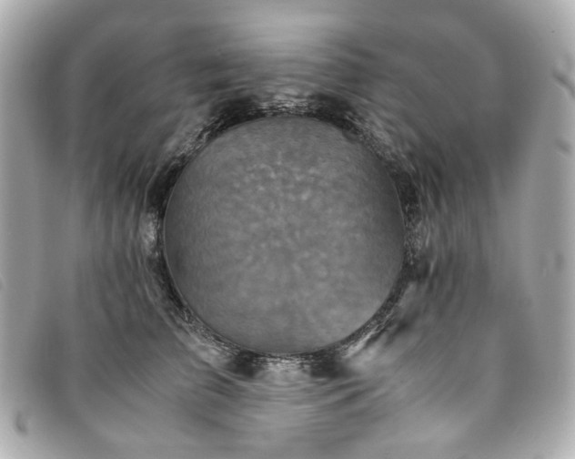 X0000094220709200710261230