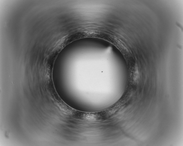 X0000094220710200710261230