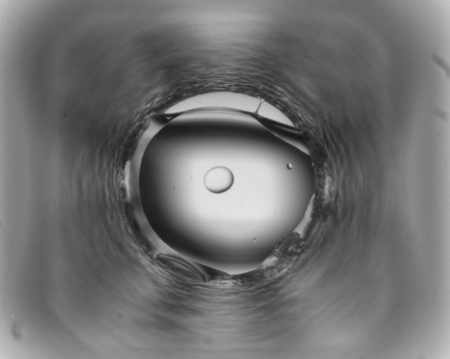 X0000094220711200710261230