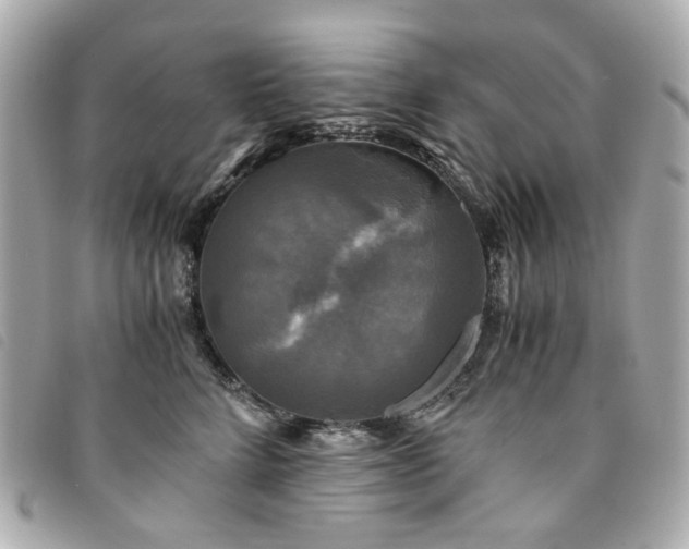 X0000094220712200710261230