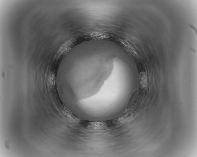 X0000094220713200710261230