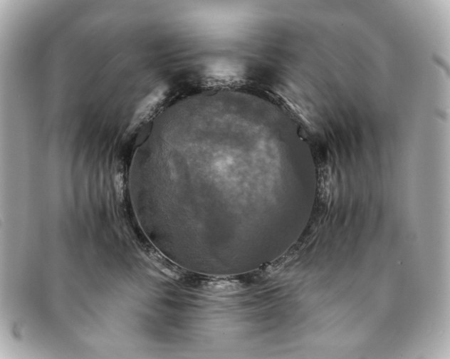 X0000094220716200710261230