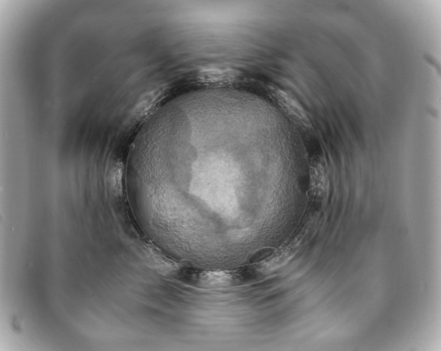 X0000094220717200710261230