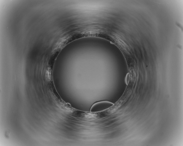 X0000094220718200710261230