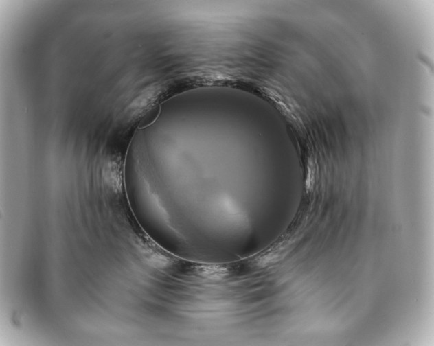 X0000094220719200710261230