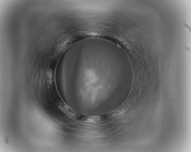 X0000094220720200710261230