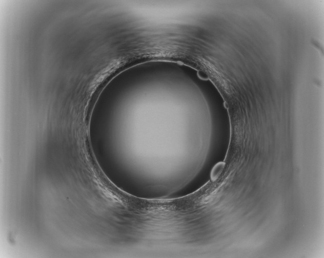 X0000094220721200710261229