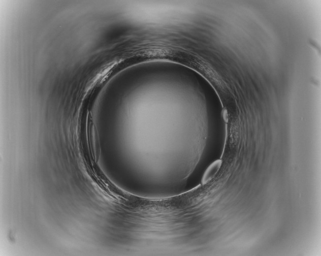 X0000094220722200710261229