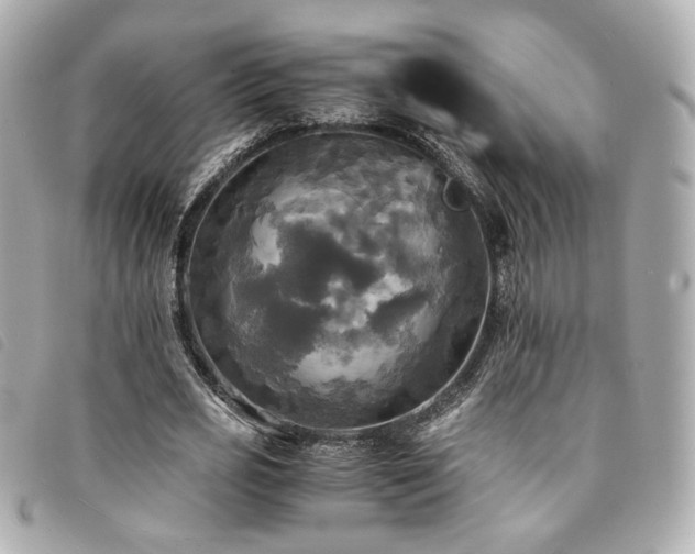 X0000094220725200710261229